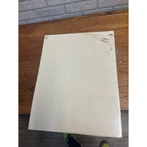 BngdWhFW_10.jpg Vintage 1920s Watkins Liniment Drug Store Advertising Sign Paper Litho Poster