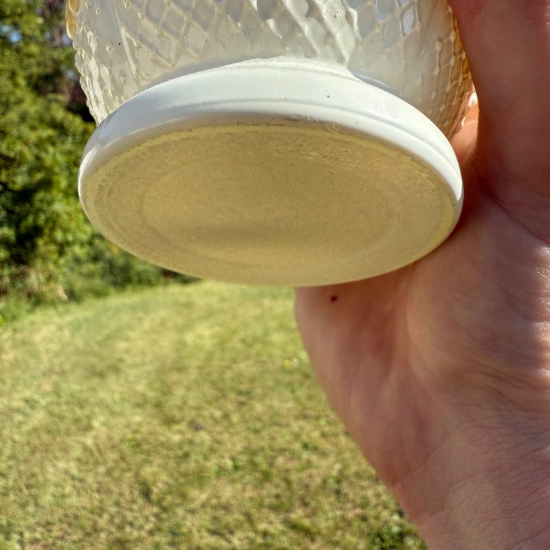 Antique Consolidated Milk Glass Cosmos Miniature Oil Lamp W/ Chimney & Shade