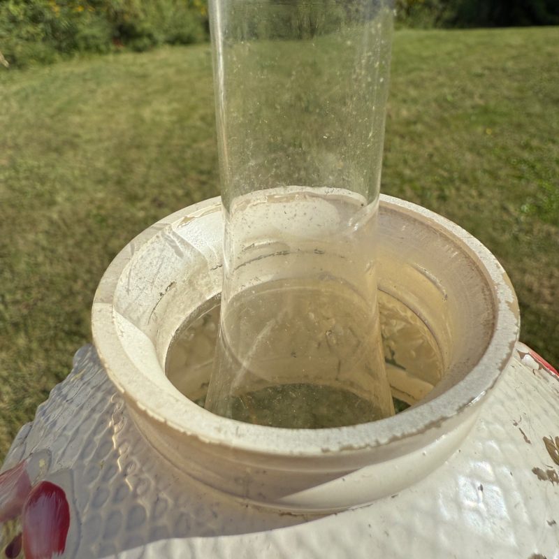 Antique Consolidated Milk Glass Cosmos Miniature Oil Lamp W/ Chimney & Shade