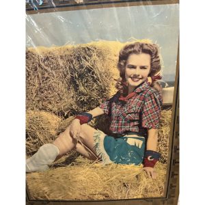 Vintage Neuburg General Store Tavern Nenno Wisconsin 1953 Adv. Calendar Sign