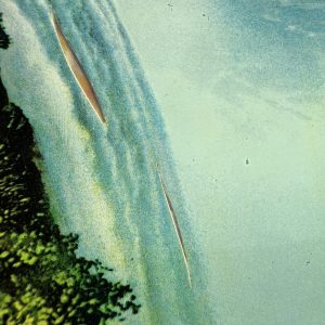 Vintage Niagara Falls Convex Picture Mother Of Pearl Framed Souvenir