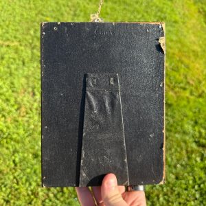 Vintage Niagara Falls Convex Picture Mother Of Pearl Framed Souvenir