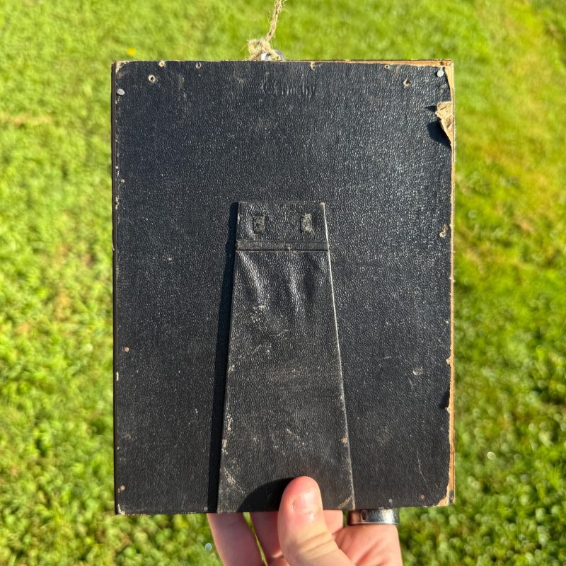 Vintage Niagara Falls Convex Picture Mother Of Pearl Framed Souvenir